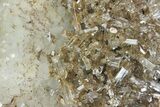 Transparent Columnar Calcite Crystal Cluster on Quartz - China #163997-3